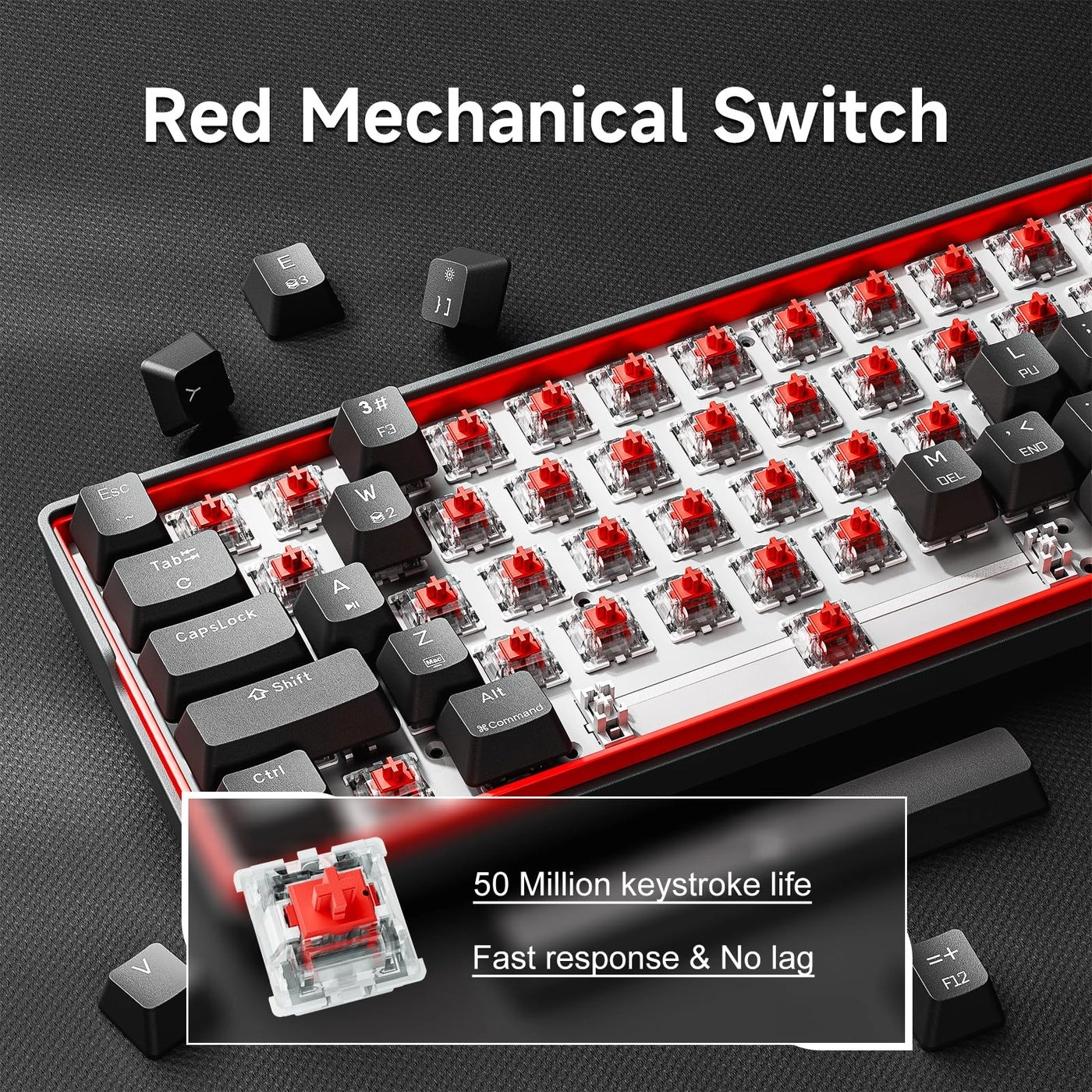K61SE - Wired