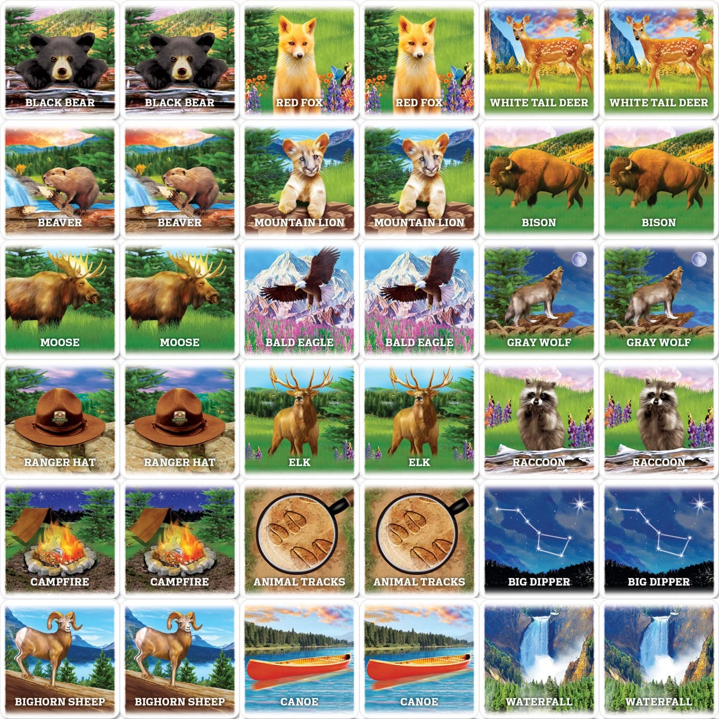 Jr Ranger - Slug Bug State-Cation - Card Game