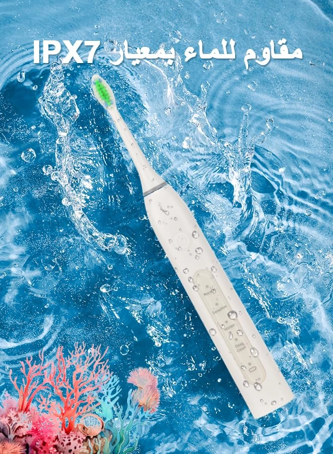 YWD-TB36-WH - 40000 VPM 4 Brush Heads USB Wireless Charging