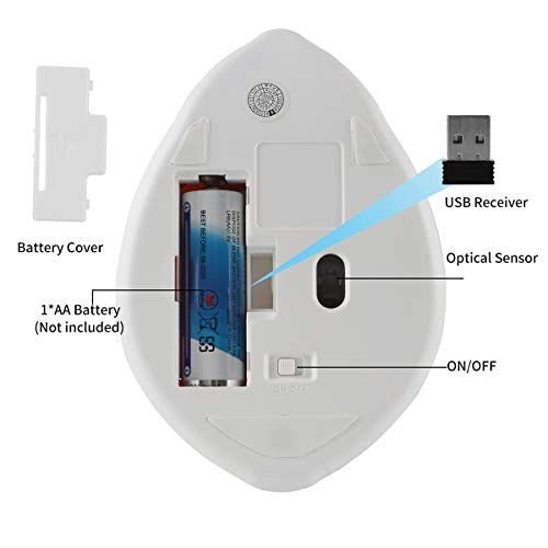 Hamster Shape Wireless Mouse - Wireless