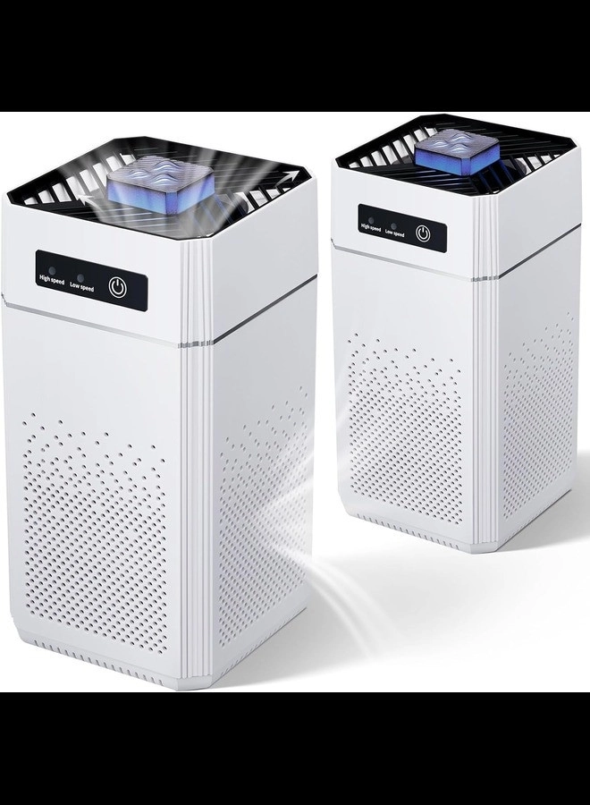 RADIOTRONICS Air Purifier - 1291 Sqft H11 HEPA 2 Speeds