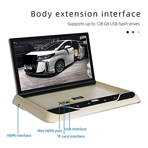 Car Ceiling Display - 19 Inch