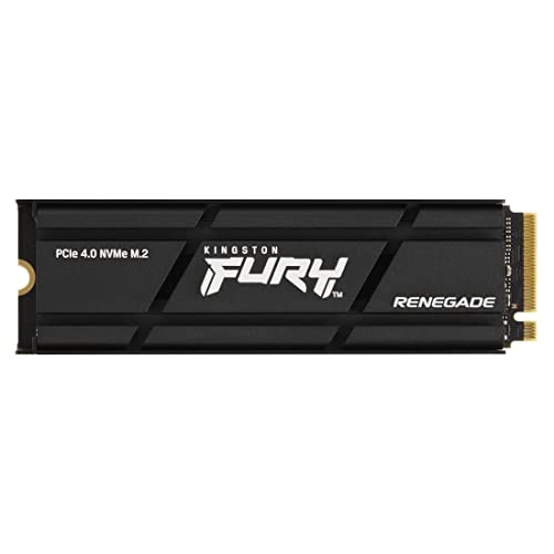 FURY Renegade - 1000GB M 2