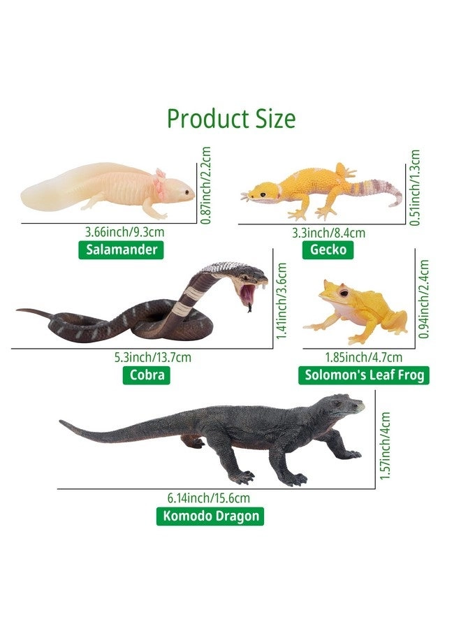 Reptile Animal Figurine Toys Set - Desert Amphibians 12 pcs
