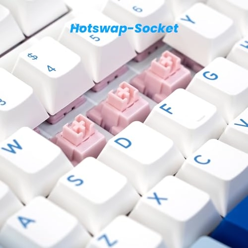 3108RF - US Wired/Wireless