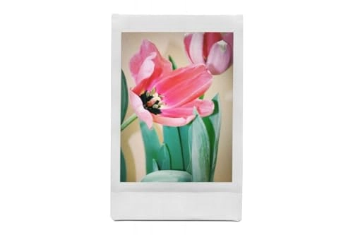 LomoInstant Camera & Lenses - Fisheye Portrait Close-up lenses Instax Mini