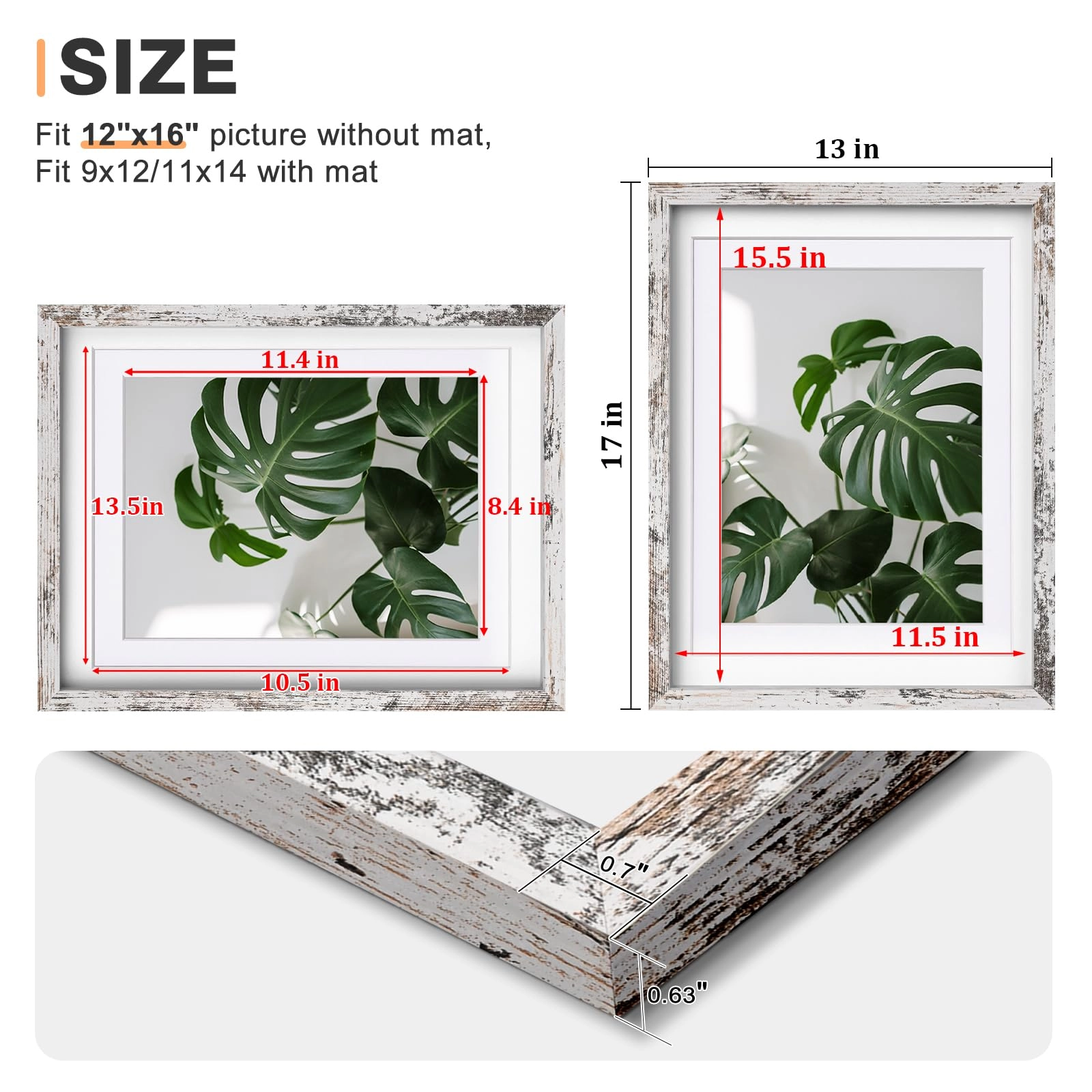 picture frames - 12x16