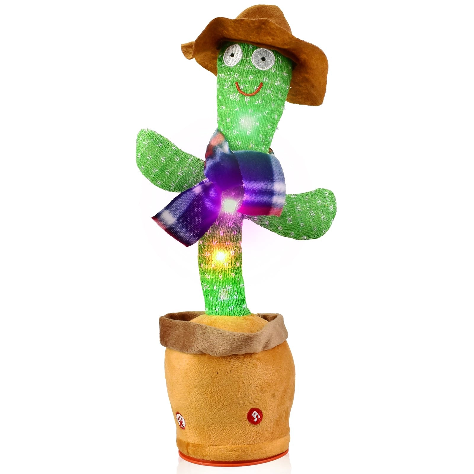SBWBZB0924CT1 - 6 months+ Cactus