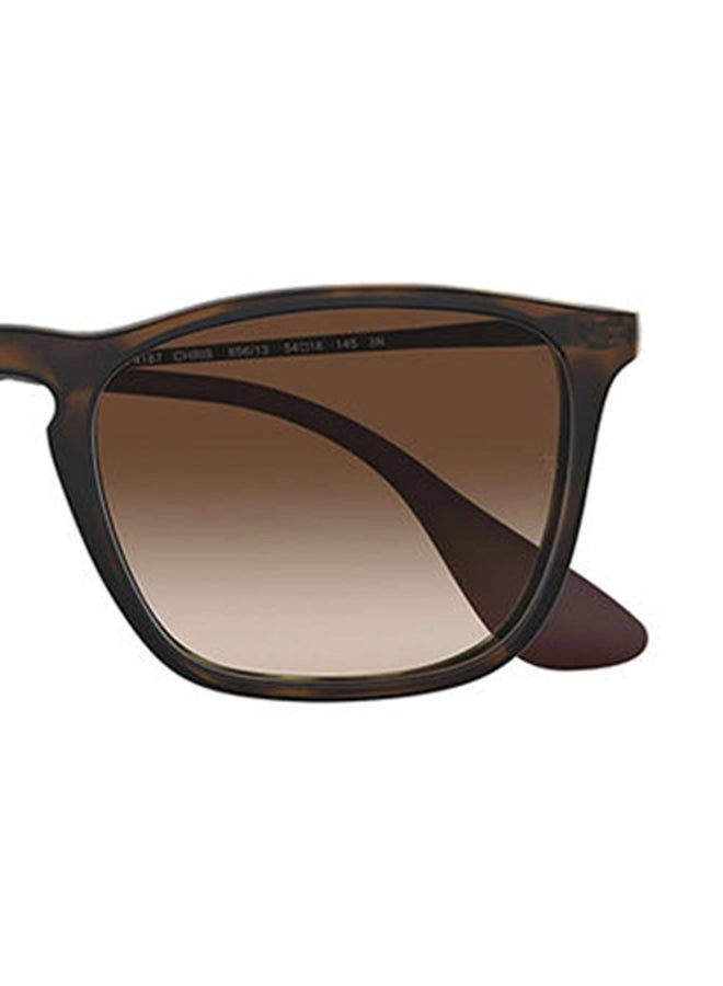 RB4187F - 54 mm Grey Gradient