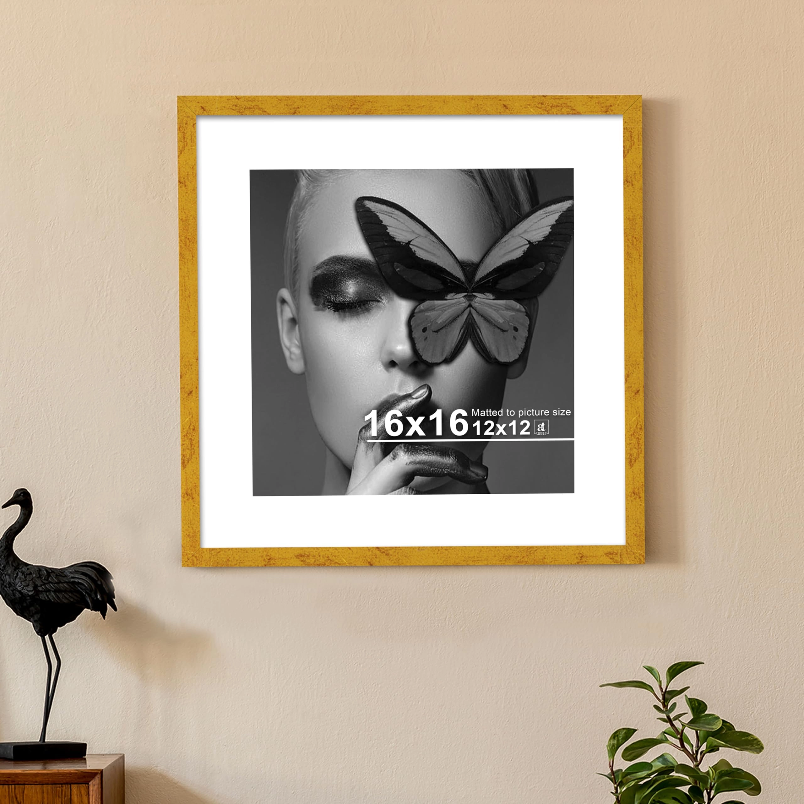 Document Frame - 40.6L x 40.6W Centimeters