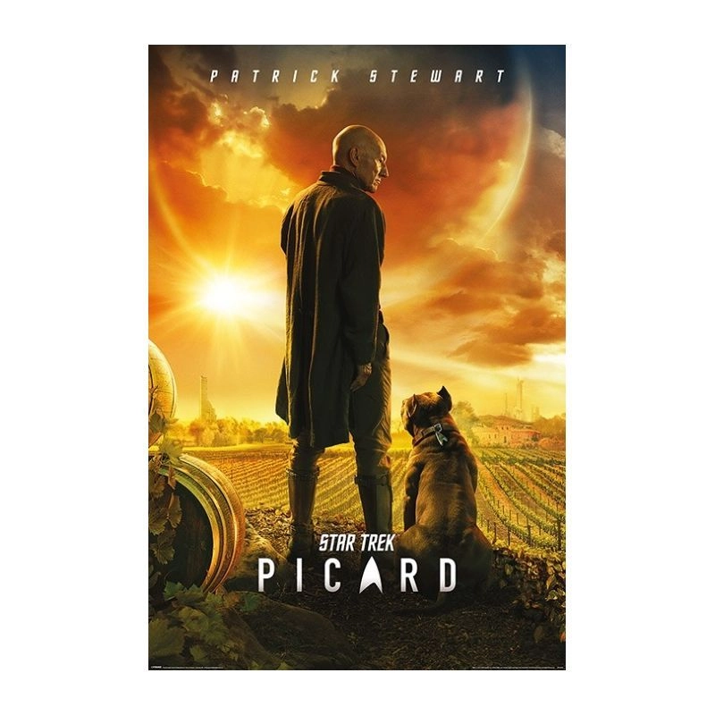 PYRAMID POSTERS Star Trek Picard Number One - 61 x 91.5 cm