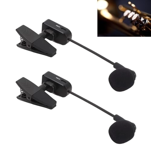 zif6b3gc7k Wireless Microphone
