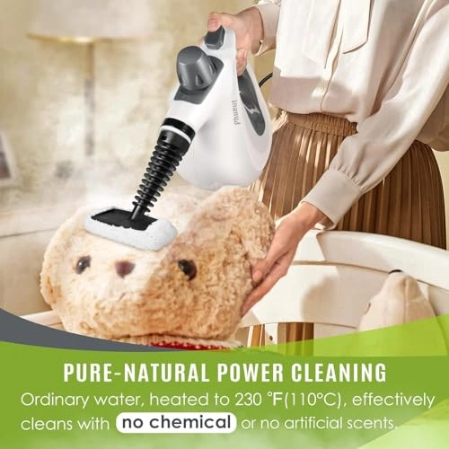 Steam Cleaner - 350 Milliliters