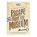 Escape From the Museum Puzzle
