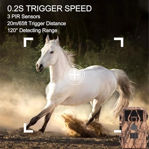 Goshydar4f85xsbpt - 60MP