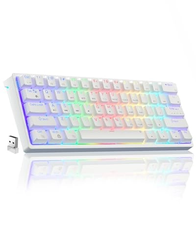 SK961 - Wired/Wireless