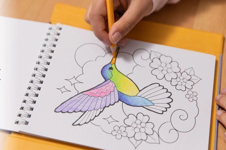 Pencil Art - 20 colours