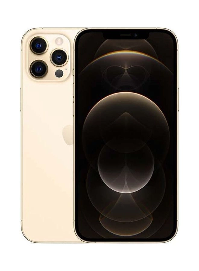 (Renewed) iPhone 12 Pro Max - 256GB