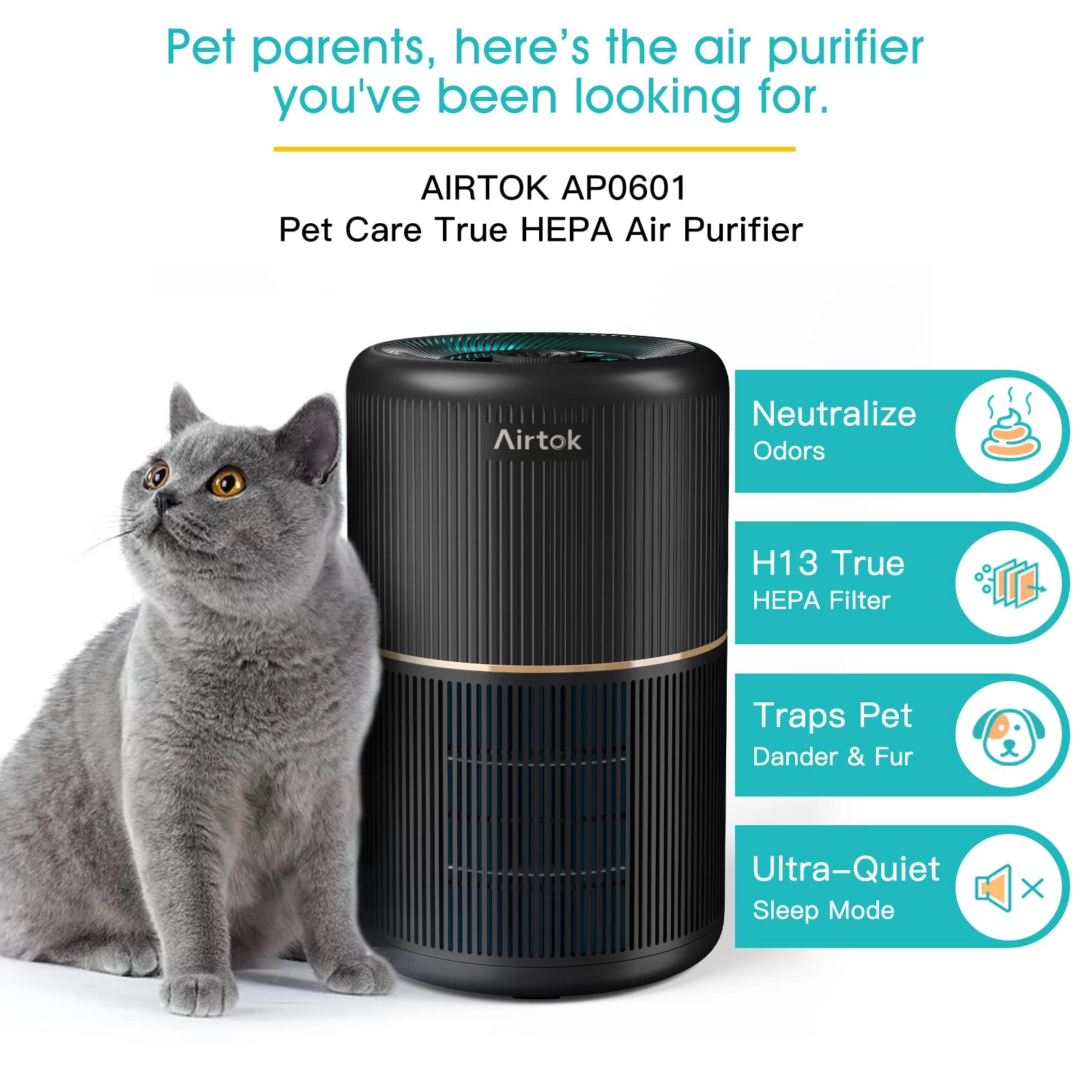 AP0601 - 2 Pack H13 HEPA