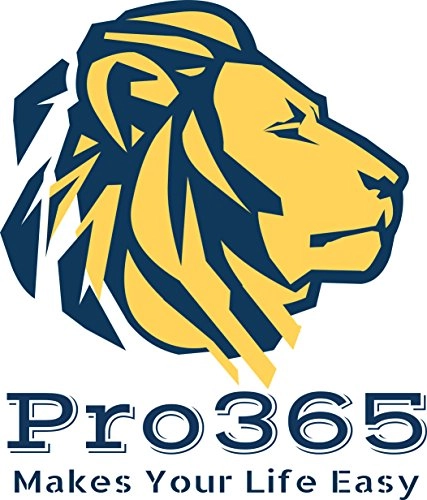 Electric Chopper - 250ML Battery Powered