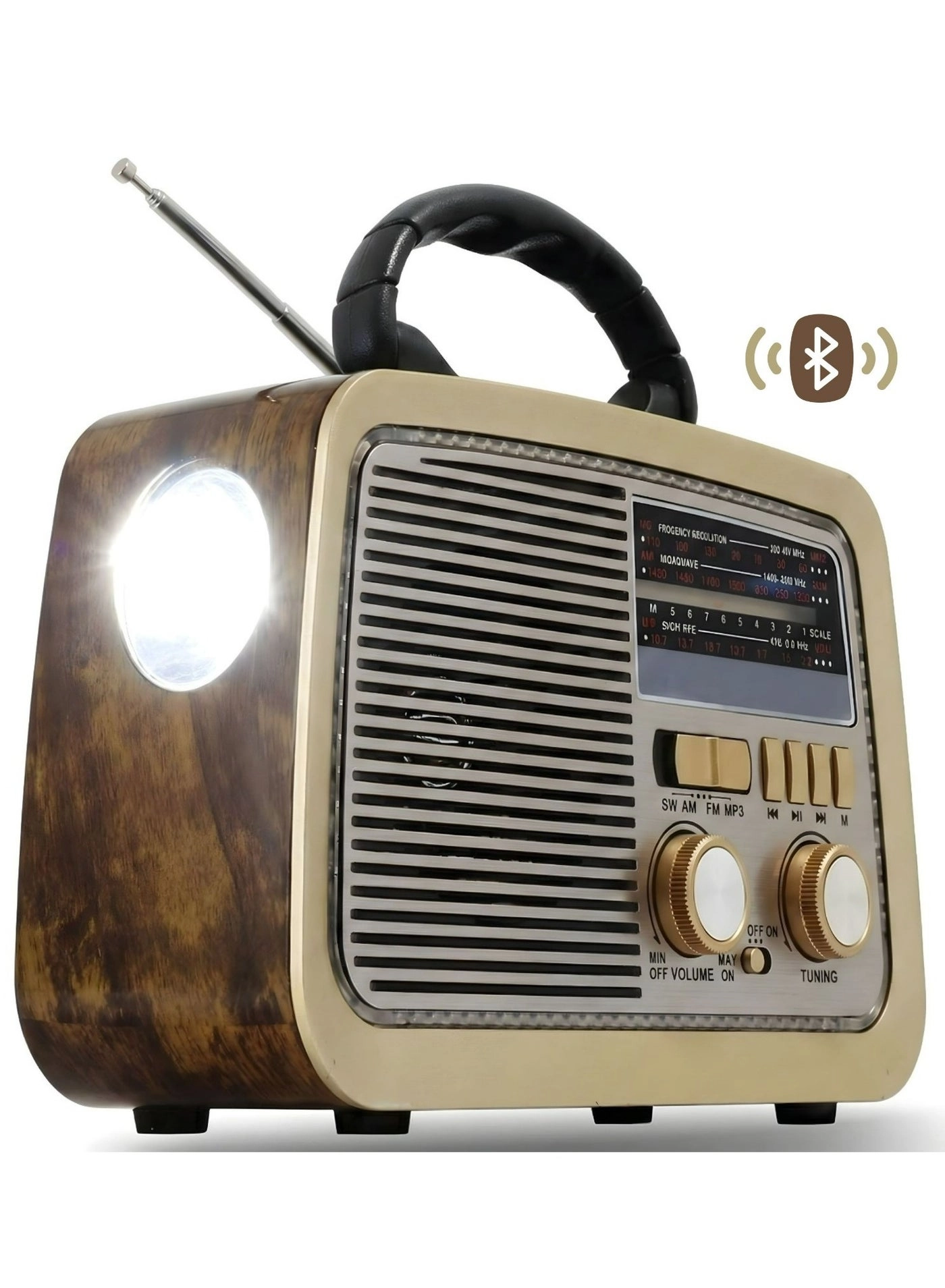 Bluetooth Radio Speaker - FM