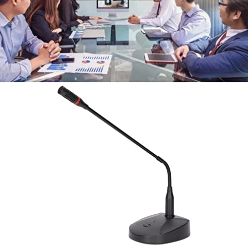 Bewinnerk283b9oeuf USB Microphone