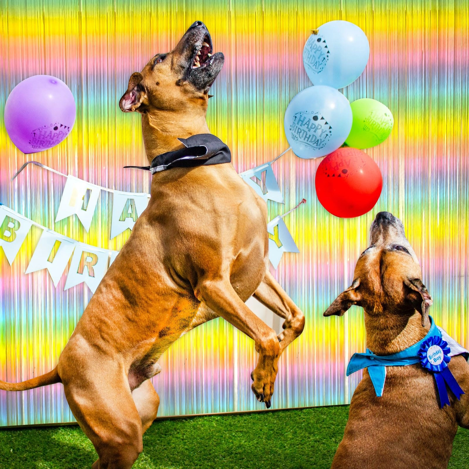 Party Backdrop - 5 Pack Birthday