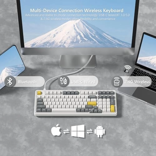 RK98 - Wired/Wireless