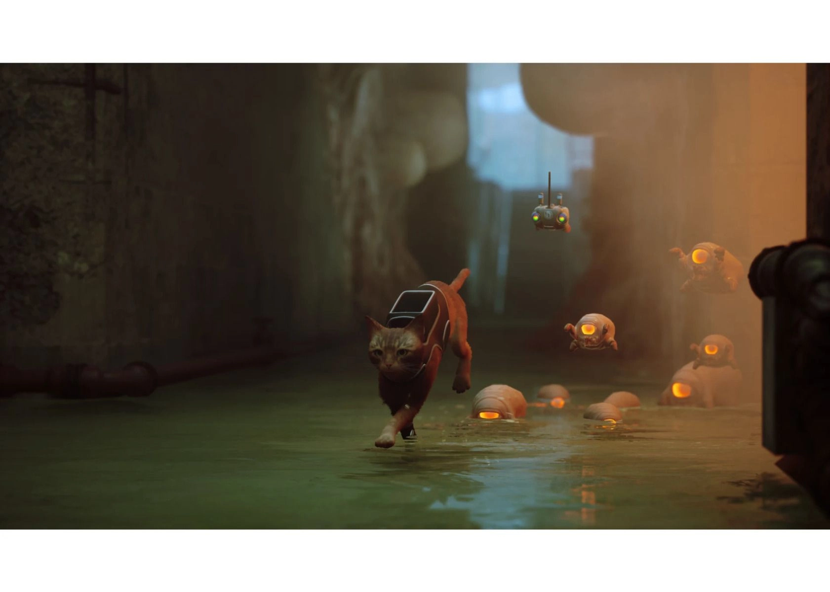 Stray - PlayStation 4