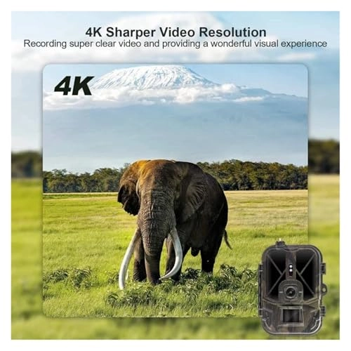 Wildlife Camera - 4G 50MP