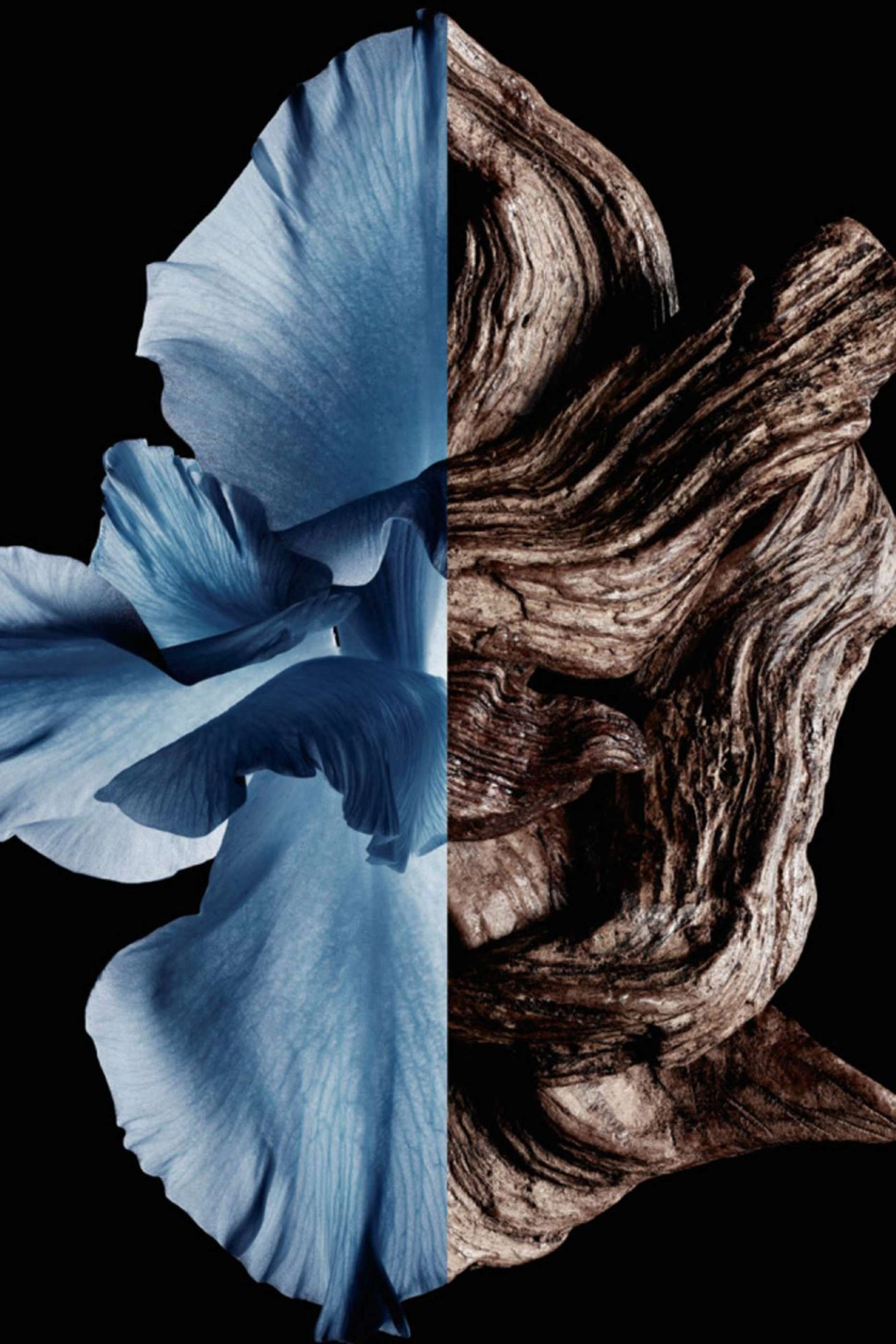 Gentleman Eau de Toilette 100ml