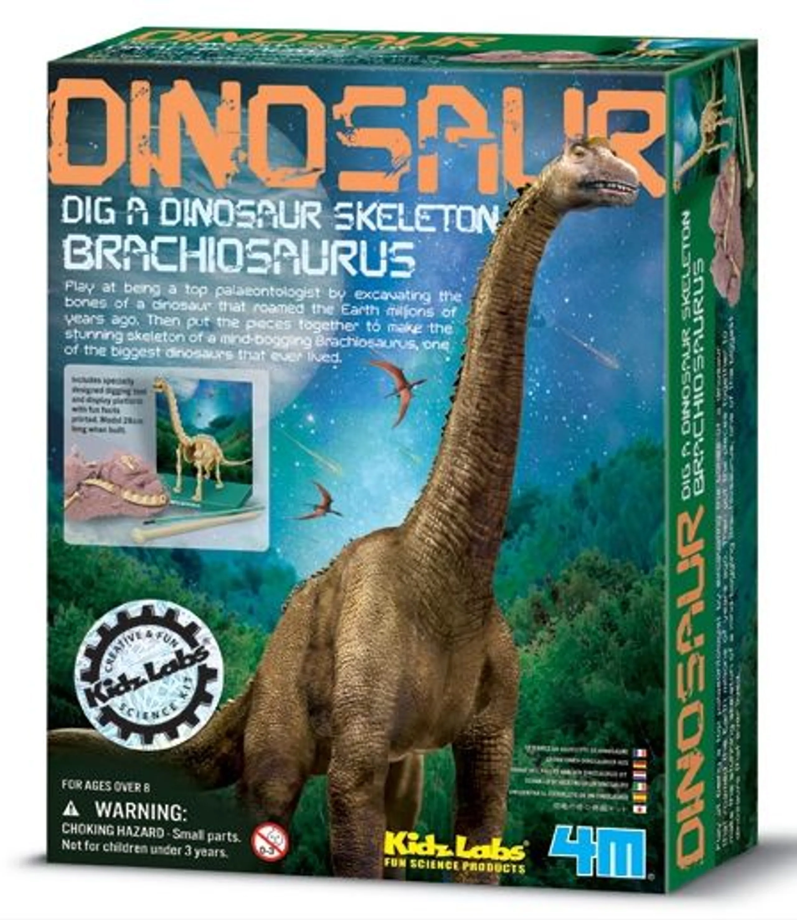 4M Branchiosaurus Skeleton - 8 years+