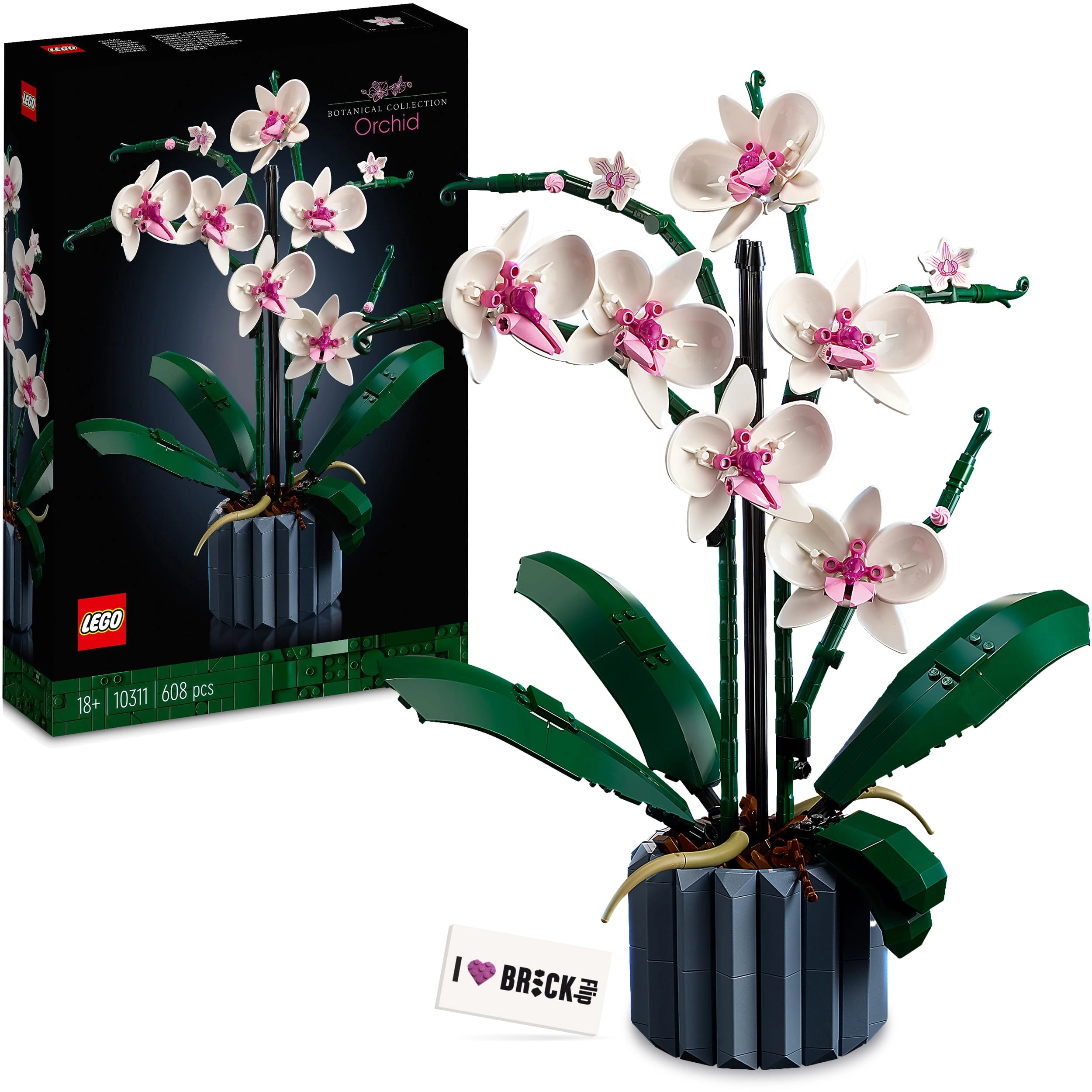 LEGO Orchid (10311) - Floral, Occasion