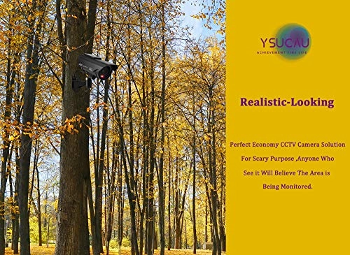 Dummy Camere - Indoor/Outdoor