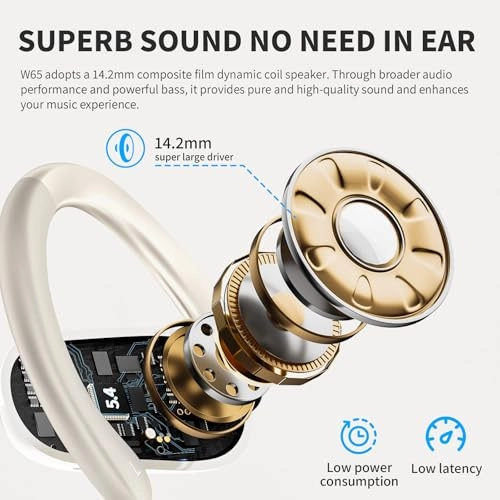 W65 Wireless Headphone