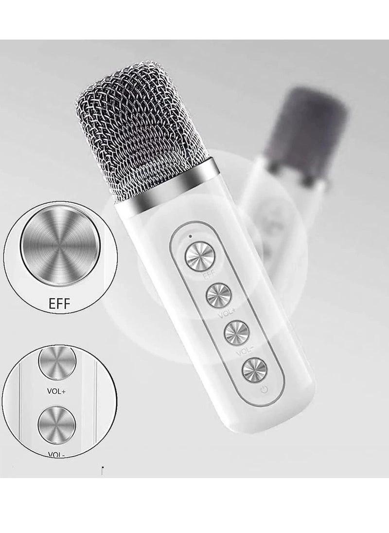 YS-219 - 2 Wireless Microphones