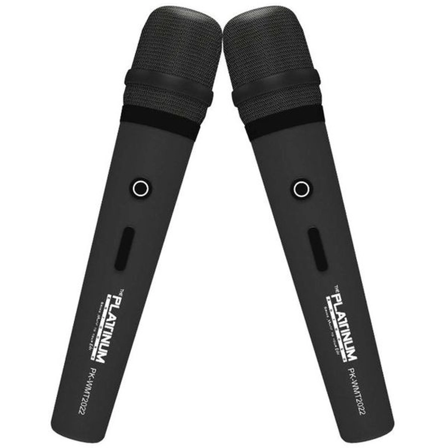 Party Jukebox Speaker DK-88 - Dual Microphone Support