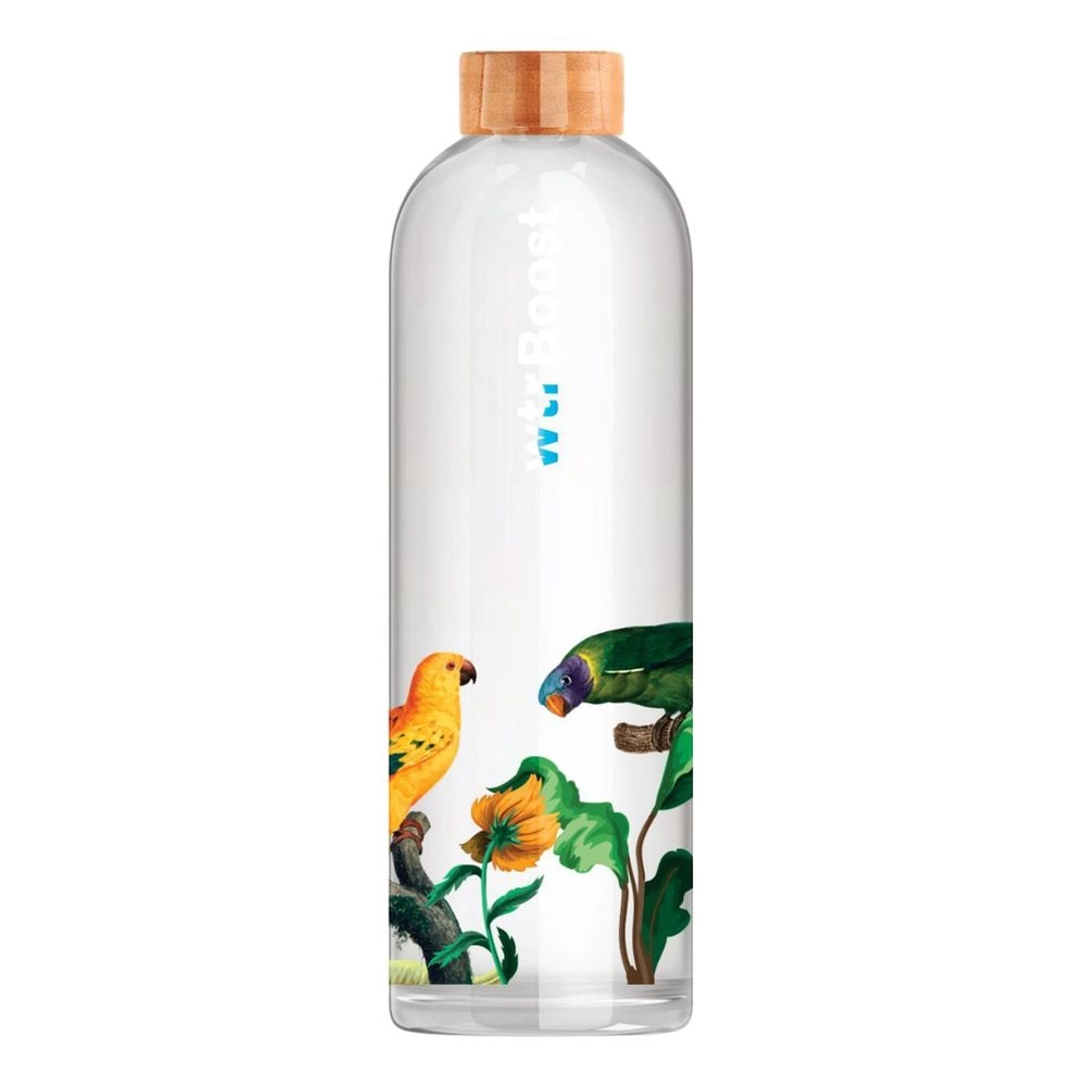 WTR BOOST Tropical Water Bottle Leak-proof Glass 600 ml