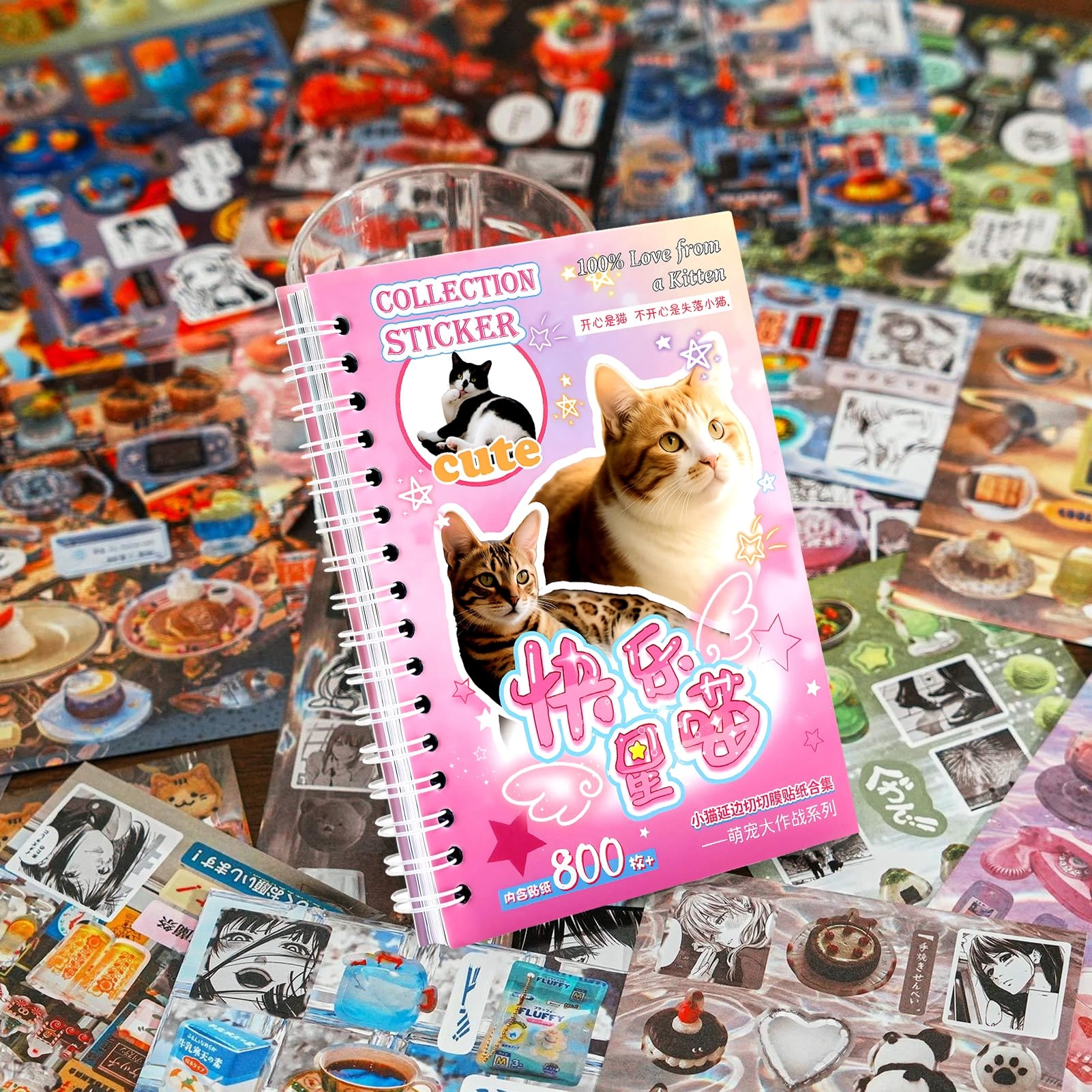 Cat Sticker Book 800 pcs