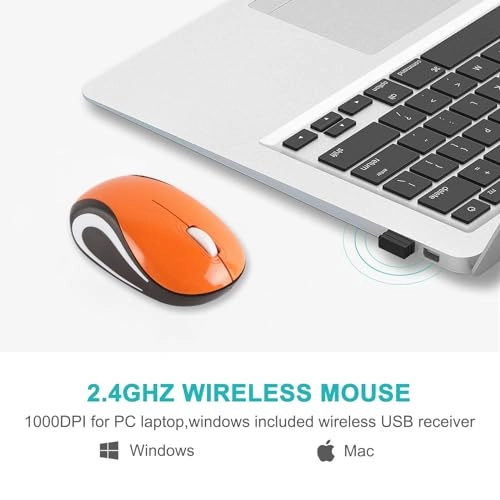 Cute Turtle Shape Mouse - USB