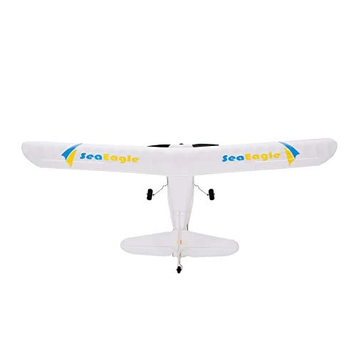RC Airplane