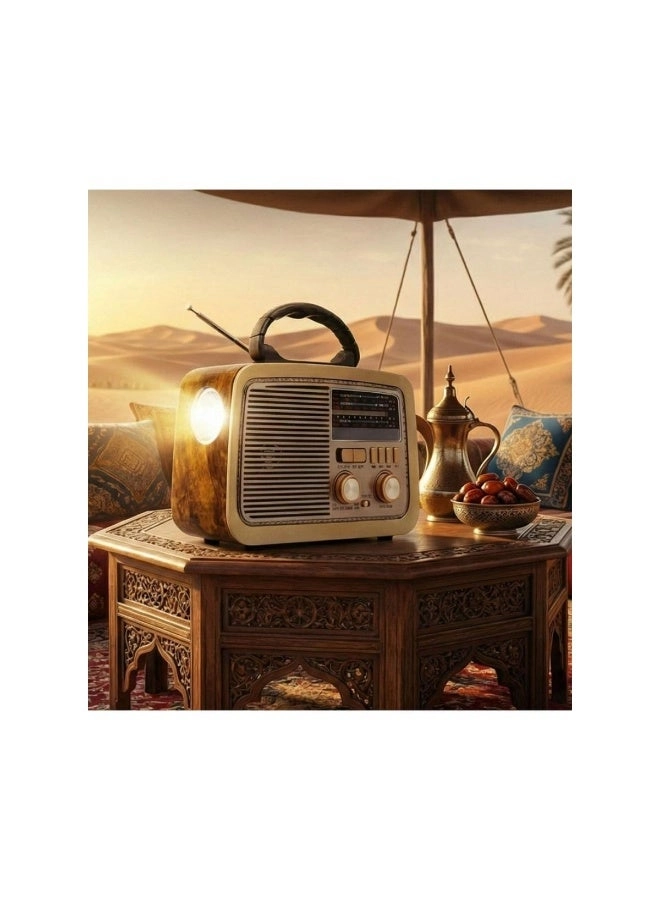 Hi-Fi Retro Radio - Portable