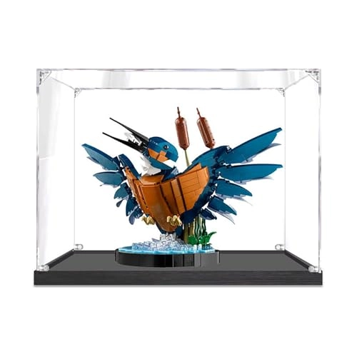 Acrylic Display Case - transparent acrylic