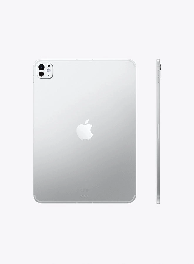 iPad Pro M5 (2025) - 256GB 11"