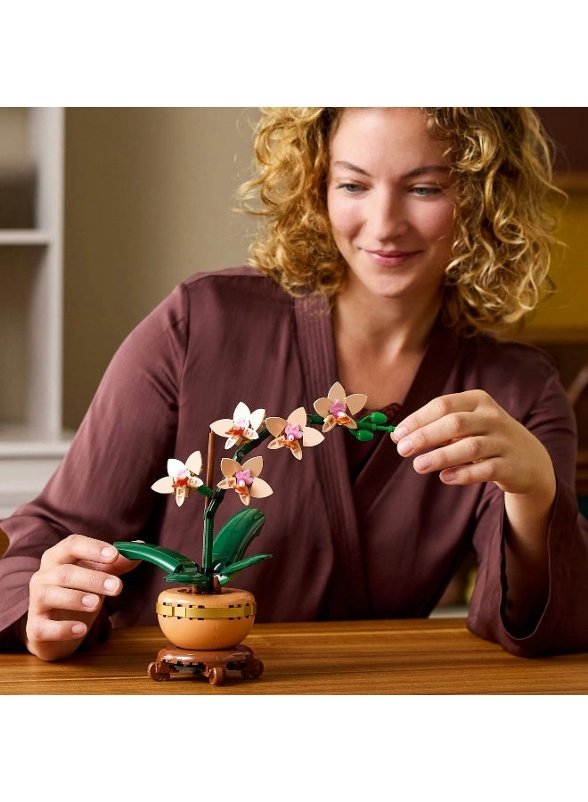 Botanicals Mini Orchid (10343) - Artificial Flowers Terracotta Pot