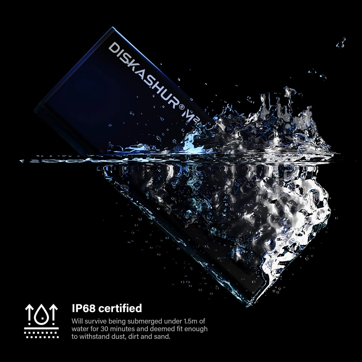 diskAshur M2 - USB 3.2 500GB