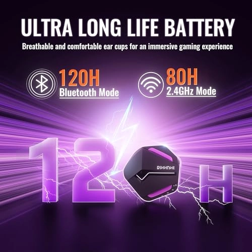 BW01-BT Wireless Headset