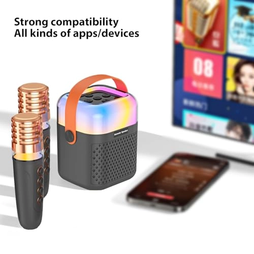 Karaoke Machine - 2 15W