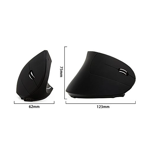 Ergonomic Mouse - Wireless