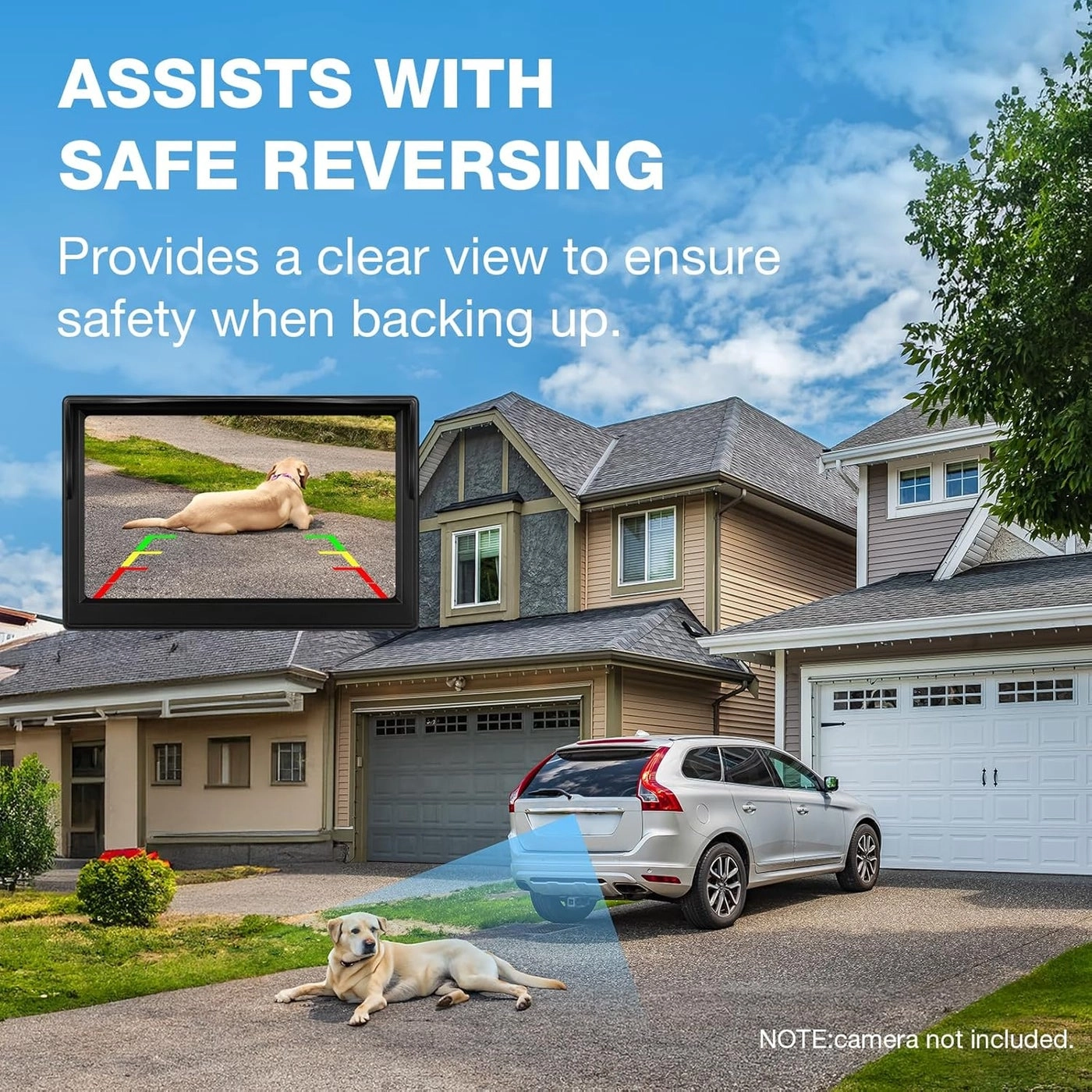 Rear View Monitor - 800(RGB)X480